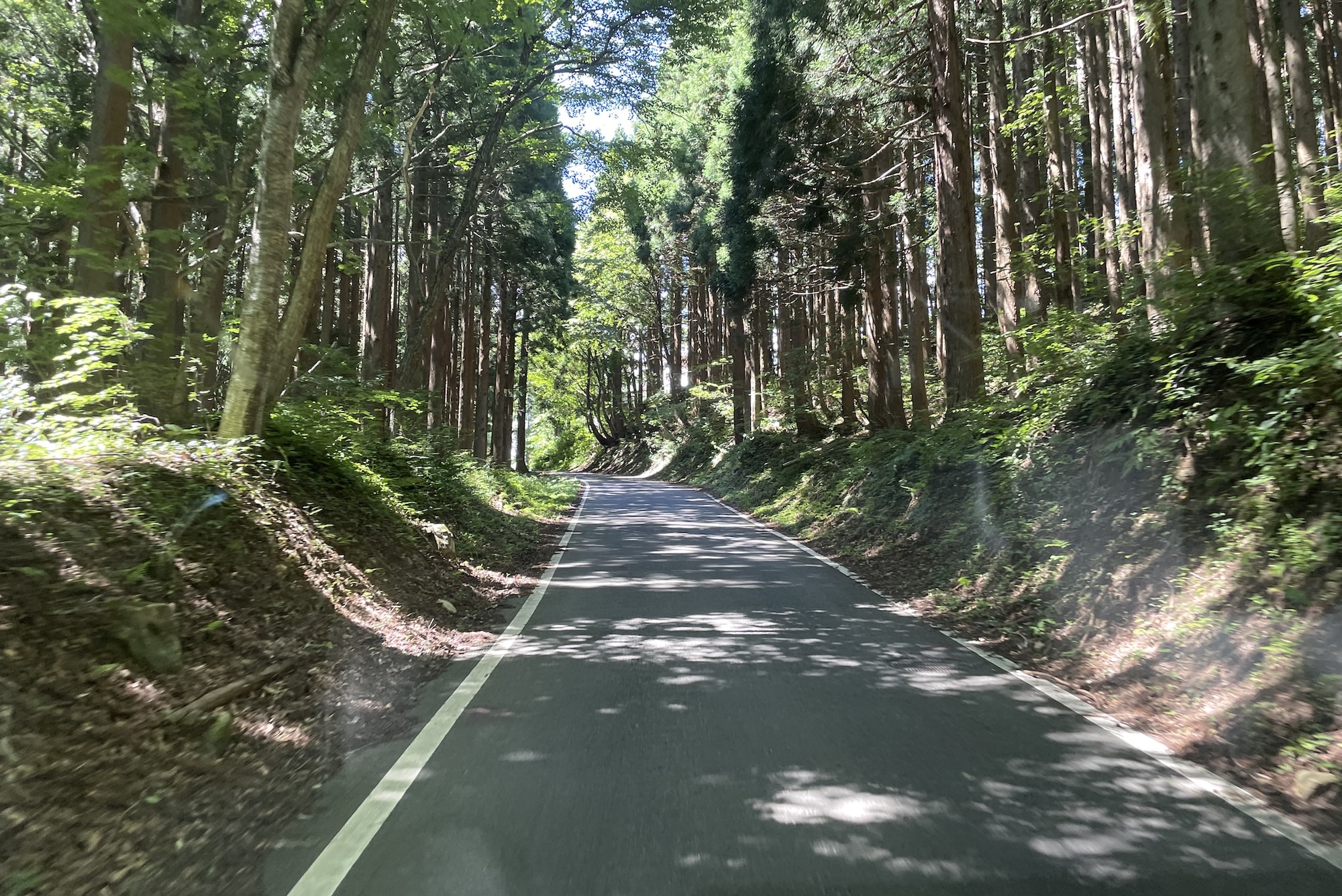 キャンプ場に着く前の山道